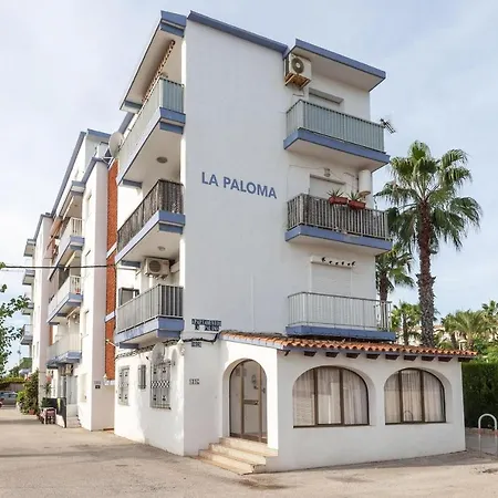 Palomas